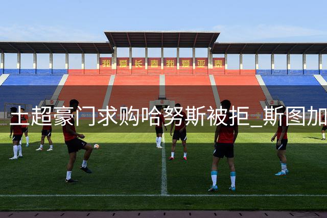 土超豪门求购哈努斯被拒 斯图加特标价六千万欧